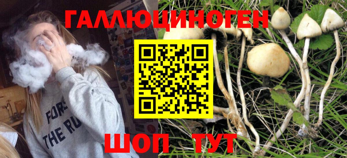 Псилоцибиновые грибы Cubensis  что такое   Черногорск  Вход с VPN 