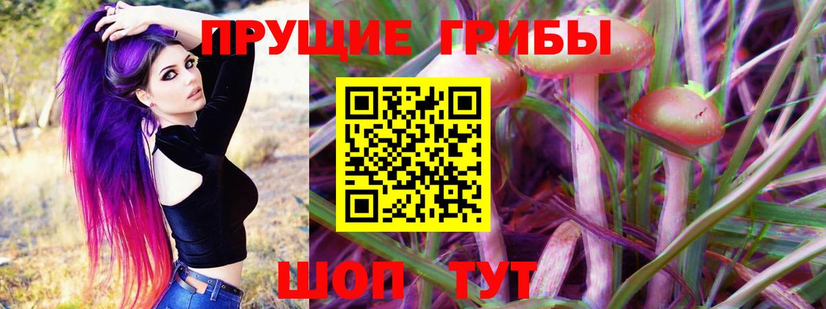 Псилоцибиновые грибы Psilocybine cubensis Черногорск